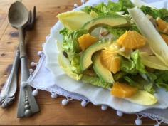 
                    
                        Chicken, Orange and Avocado Salad with Honey Vinaigrette. Recipe on Mom's Kitchen Handbook
                    
                