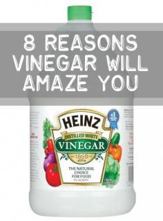 8 Reasons Vinegar Will Amaze You. Cleaning the garbage disposal, oven window, etc!