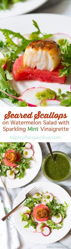
                    
                        Lovely Seared Scallops on Watermelon Salad with Sparkling Mint Vinaigrette - ASpicyPerspective...
                    
                