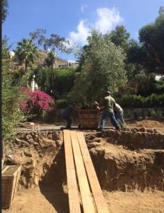 
                    
                        Planting Olive Trees….  #Outdoors….
                    
                