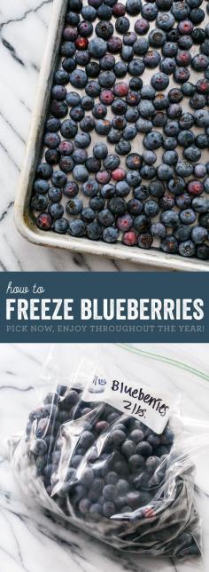 
                    
                        How to Freeze Blueberries: Pick now, enjoy all year long. It's easy!
                    
                
