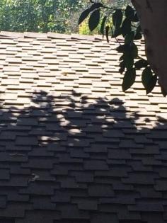 
                    
                        Presidential Roof being installed on garage.. 24 August 2015
                    
                