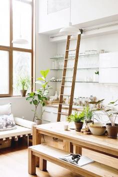 
                    
                        cool retro library ladder to reach higher shelves at home. plus add some greenery.
                    
                