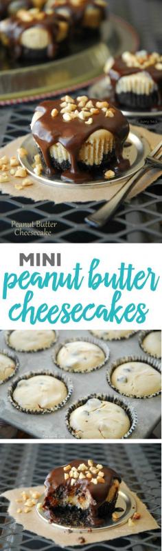 
                    
                        These mini peanut butter cheesecakes drizzled with chocolate and sprinkled with chopped peanuts are a lot of goodness packed into a muffin sized dessert! With a peanut butter Oreo crust, this easy cheesecake recipe is delicious from top to bottom.
                    
                