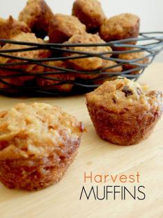 
                        
                            harvest muffins (sweetandsavoryfoo...)
                        
                    