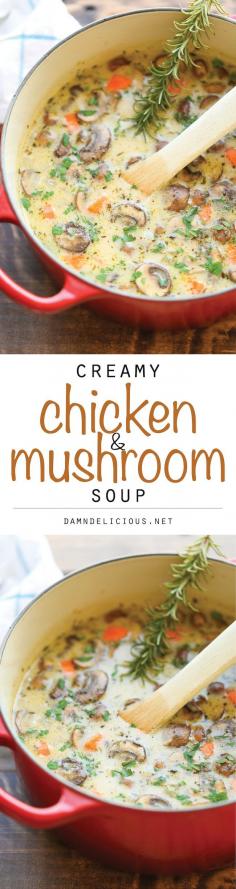Creamy Chicken and Mushroom Soup - So cozy, so comforting and just so creamy. Best of all, this is made in 30 min from start to finish - so quick and easy! #soup #recipe #easy #lunch #recipes
