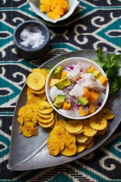 
                    
                        Halibut Ceviche with Mango and Avocado
                    
                