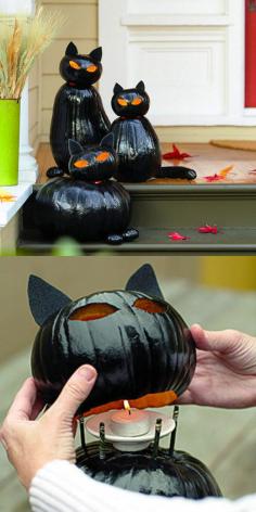 black #cat #pumpkin #blackcat #halloween #decoration #idea #diy