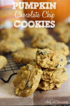 Pumpkin Chocolate Chip Cookies!  One of my absolute favorite cookies and perfect for fall! #recipe #cookie #pumpkin...made these for a field trip to the pumpkin patch.  They were so yummy!  Kids and parents enjoyed them...had several requests for the recipe!  Super soft and delicious...a keeper :)