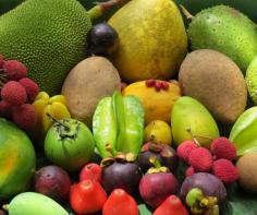 Fruit Tasting Platter