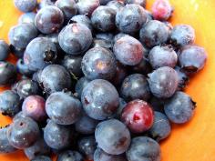 Ditch the plastic tray and learn to grow your own blueberries at home | 1 Million Women
