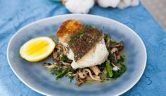 Pan Seared Murray Cod