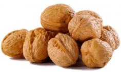 walnut nuts