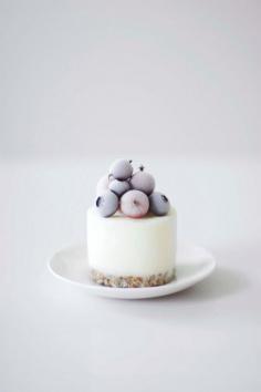 ... mini frozen yogurt cake ...