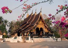 From my recent trip to the beautiful country of Laos - The Mystical Riches of Luang Prabang