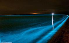 Gippsland Lakes. Chemische reacties veroorzaken de blauwe gloed.