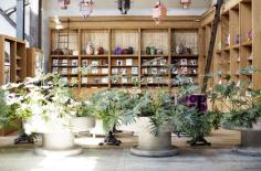 The library | offices of Free People