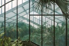 Princess of Wales Conservatory in London / photo by India Hobson