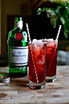 Pomegranate Gin & Tonic