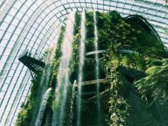 Cloud Forest in Singapore / photo by Jeany