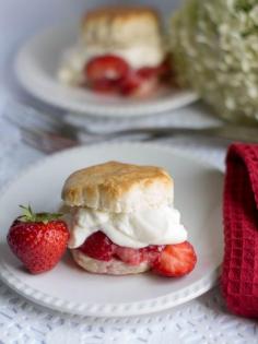 Classic Strawberry Shortcake - Erren's Kitchen