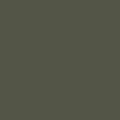 Roycroft Bronze Green SW 2846 by Sherwin-Williams.