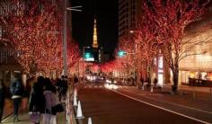 Illumination Street @ Tokyo, Japan