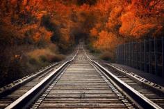 Fall Tracks