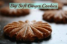 
                        
                            big soft ginger cookies
                        
                    