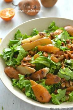 
                        
                            Sauteed golden pears, crunchy pecans and soft golden raisins star in this simple green salad that would make a fabulous accompaniment to any fall dinner!
                        
                    