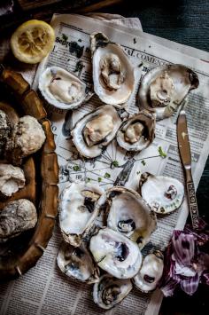 
                        
                            Grilled Oysters / Adventures in Cooking
                        
                    