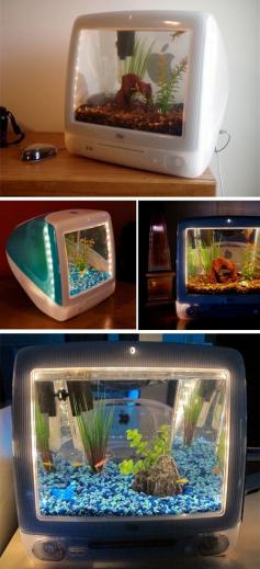 
                        
                            Another 12 of the Coolest Aquariums (cool aquariums, cool fish tanks) - ODDEE
                        
                    