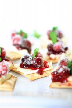 
                        
                            Awesome appetizer idea for Thanksgiving or the holidays: Cran-Raspberry Brie Bites. Get the recipe at BrightNest
                        
                    