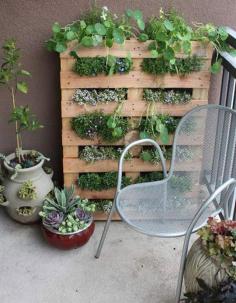 The Best of Vertical Gardening: Inspiration, DIY, & Resources