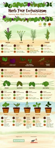 Herb Your Enthusiasm - Growing herbs indoors is an easy way to bring the feeling of spring into your home throughout the year. Here are some tips that can help you enjoy the many delicious benefits of fresh herbs. This chart is great to have on hand as a resource for not only growing herbs, but the flavors each adds to a dish, and even suggestions for yummy pairings.
