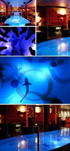 
                        
                            Another 12 of the Coolest Aquariums (cool aquariums, cool fish tanks) - ODDEE
                        
                    
