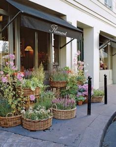 Flamant’s flower shop near Place de Furstenberg in the Saint Germain   |  photo by Marina Faust via Architectural Digest