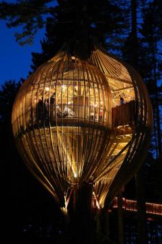 
                    
                        The Yellow Treehouse Restaurant in Auckland allows people to dine in this “cocoon”.  The restaurant can be accessed by an elevated path which is illuminated at night, making it a romantic dining spot. [by Thia Shi Min via Design Taxi]
                    
                