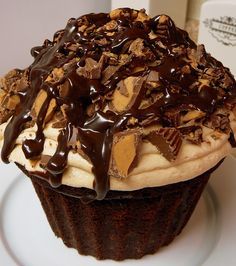 
                    
                        Reese's Peanut Butter Cupcake
                    
                
