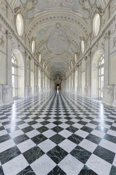 
                    
                        La Galleria Grande, Palace of Venaria, Torino, Italy
                    
                