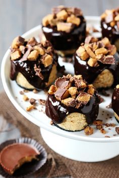 
                    
                        Reese's Peanut Butter Chocolate Mini Cheesecakes
                    
                