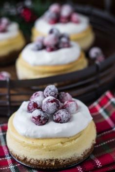 
                    
                        Creamy eggnog cheesecake with a spiced gingersnap crust... you are going to want this decadent dessert this holiday season!
                    
                