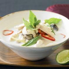
                    
                        Thai Chicken-Coconut Soup Recipe
                    
                