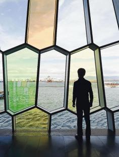 
                    
                        Harpa Concert Hall and Conference Center (Reykjavik, Iceland) - Henning Larsen Architects + Olafur Eliasson
                    
                