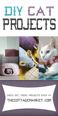 
                    
                        DIY Cat Projects - The Cottage Market #CatProjects, #DIYCatProjects, #CatCrafts
                    
                