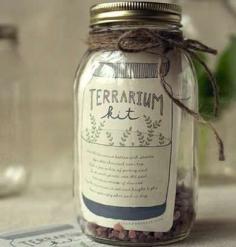 
                    
                        DIY Christmas Stocking Stuffer - Terrarium Kit You Can Make Yourself
                    
                