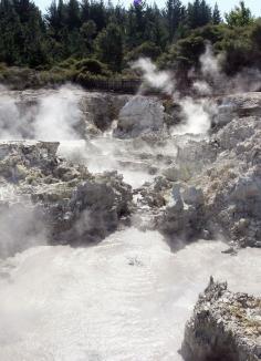 
                    
                        Hells Gate in Rotorua, New Zealand has been home to the healing mineral mud loved by the Ngati Rangiteaorere Tribe for more than 700 years. The mineral-rich mud has antibacterial, detoxifying, and moisturizing skin care benefits.
                    
                