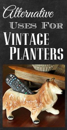 
                    
                        Alternative uses for those vintage planters you find at thrift stores.
                    
                