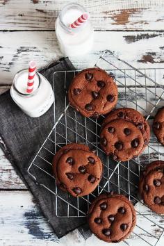 
                    
                        double chocolate chip cookies
                    
                