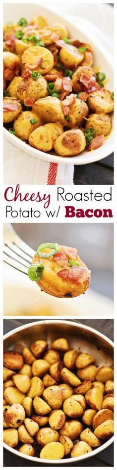 
                    
                        Cheesy Roasted Potatoes with Bacon – mini golden potatoes roasted with garlic, cheddar cheese and bacon. An amazing side dish for Thanksgiving | rasamalaysia.com
                    
                